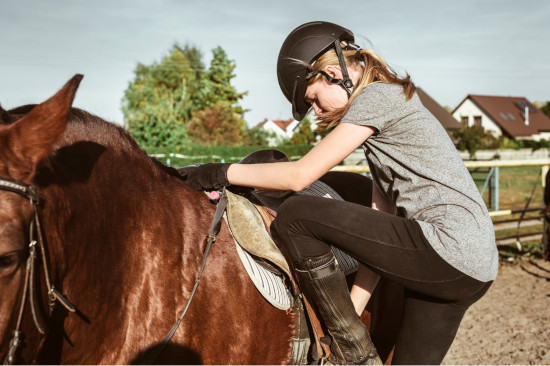 ready to get onto your horse.