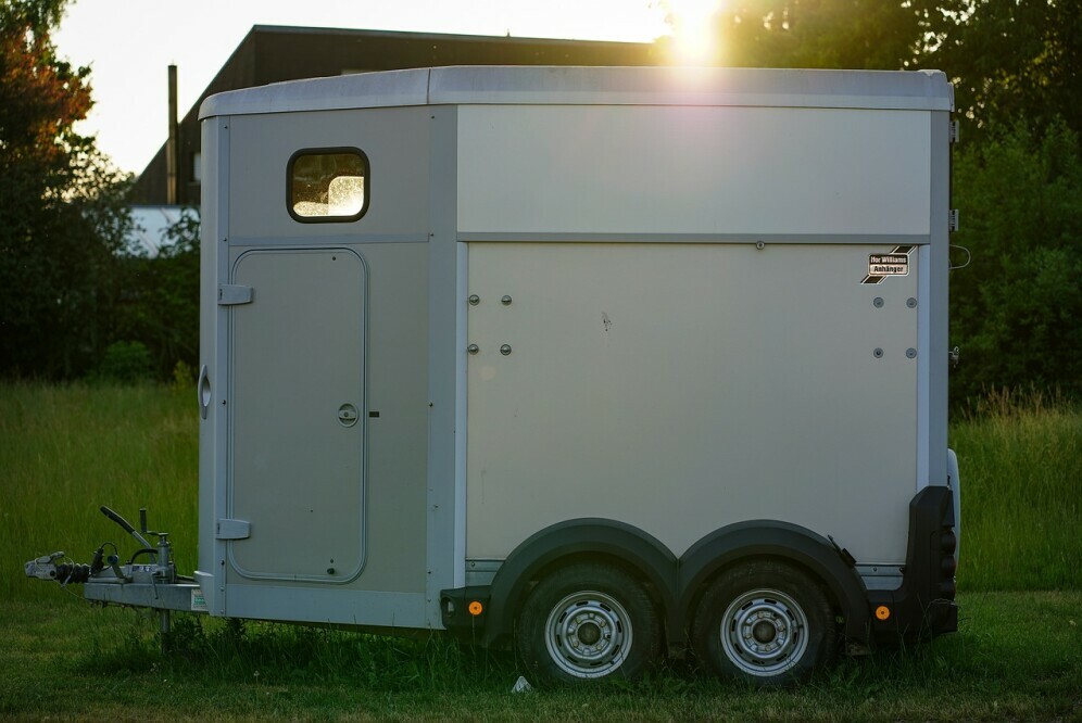 bumper pull horse trailer