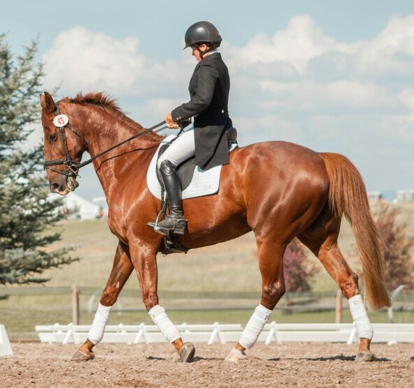 Equestrian Show Clothing